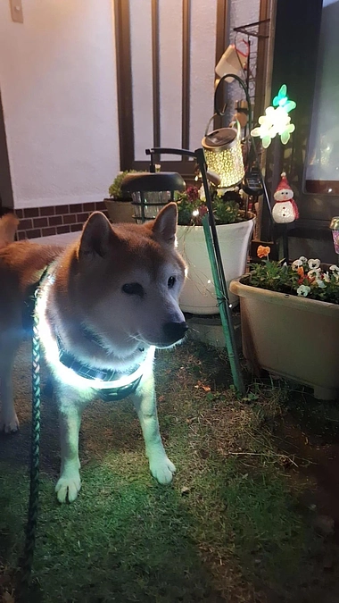 あと、2日です！時間がありません