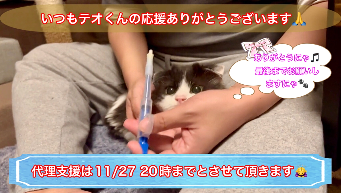 テオくんの代理支援の受付終了のご案内