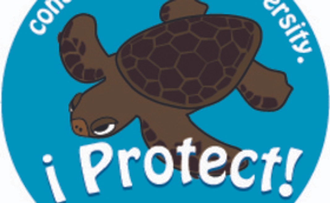 ウミガメファンドへご協力