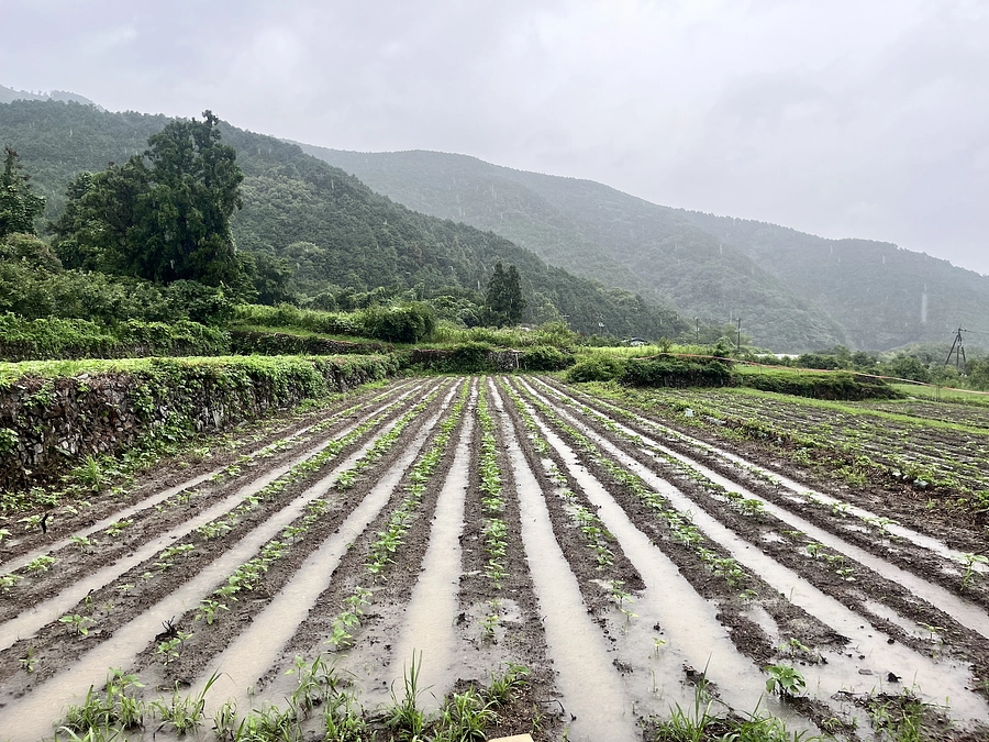 ＜7月1日＞プロジェクトスタートしました！
