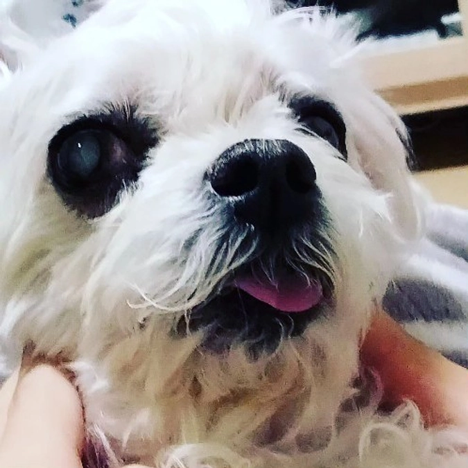 ご支援、ご協力宜しくお願い致します。