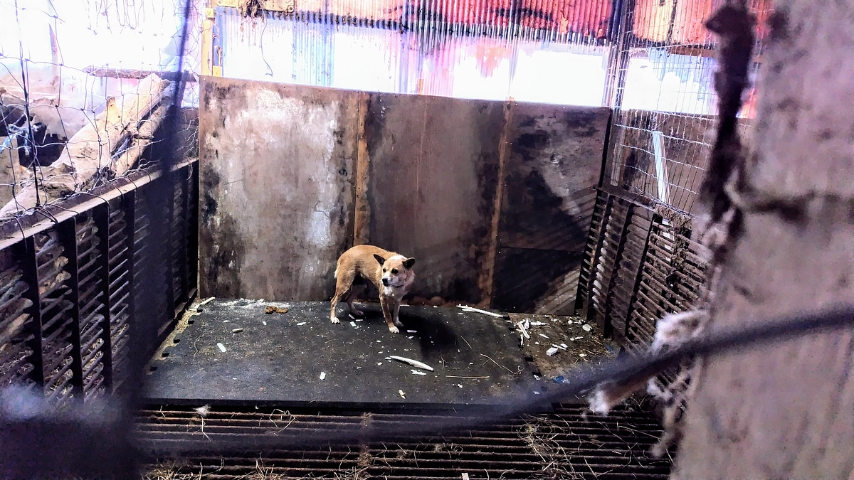 壁の断熱材を設置しています