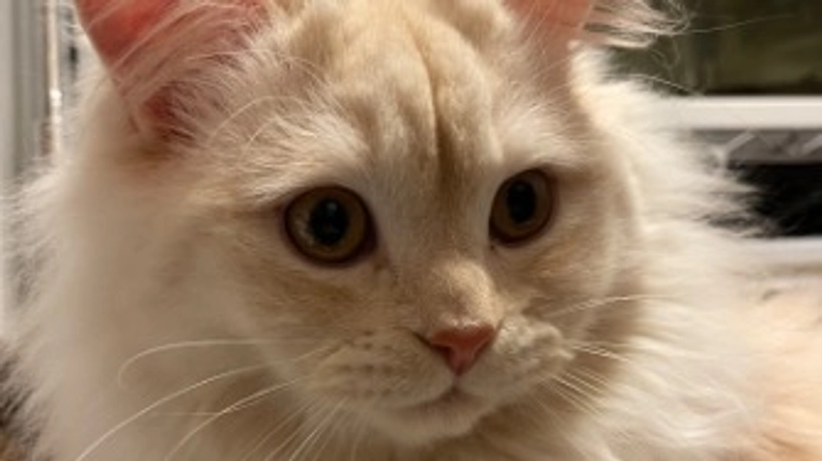 今日のトキ☀️🍃