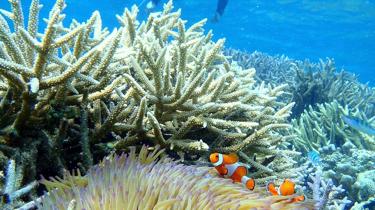 美しい未来の海を創る海洋冒険ゲーム動画制作