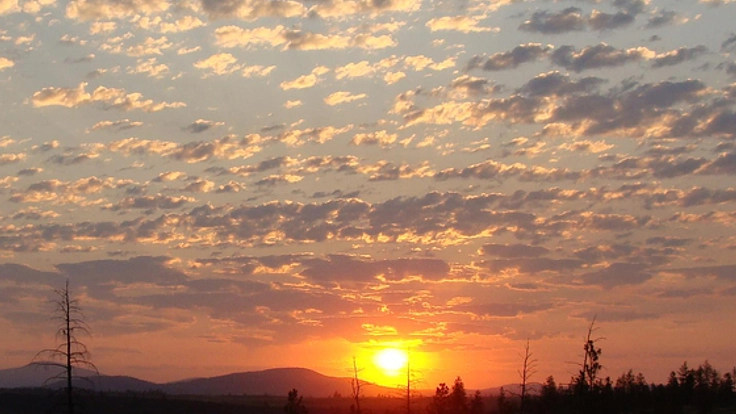 夜眠れず朝起きれない学生へ、睡眠リズム障害を知ってほしい！