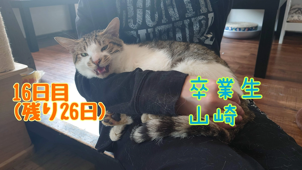 卒業生・山崎のお話。