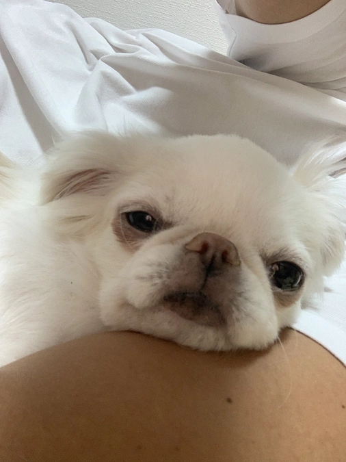 残り19日🐶‼️