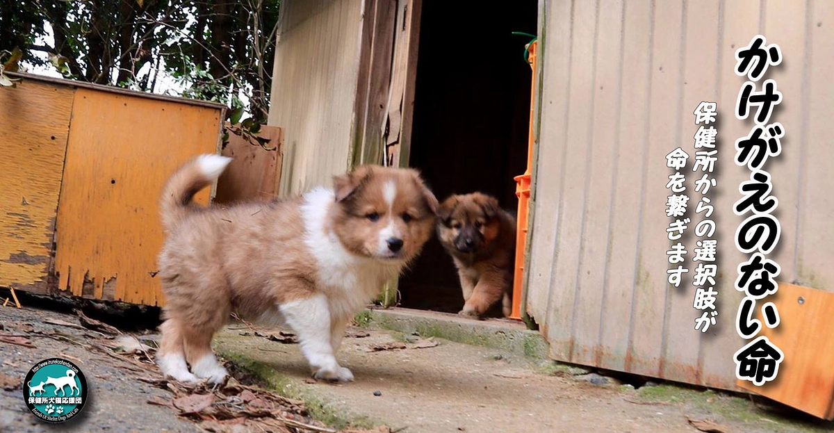 施設予定地の状況＆リターン小法師