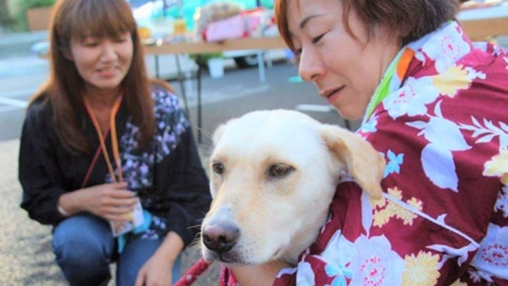 犬猫の代弁者になる。動物と家族に寄り添うフリーペーパー継続!