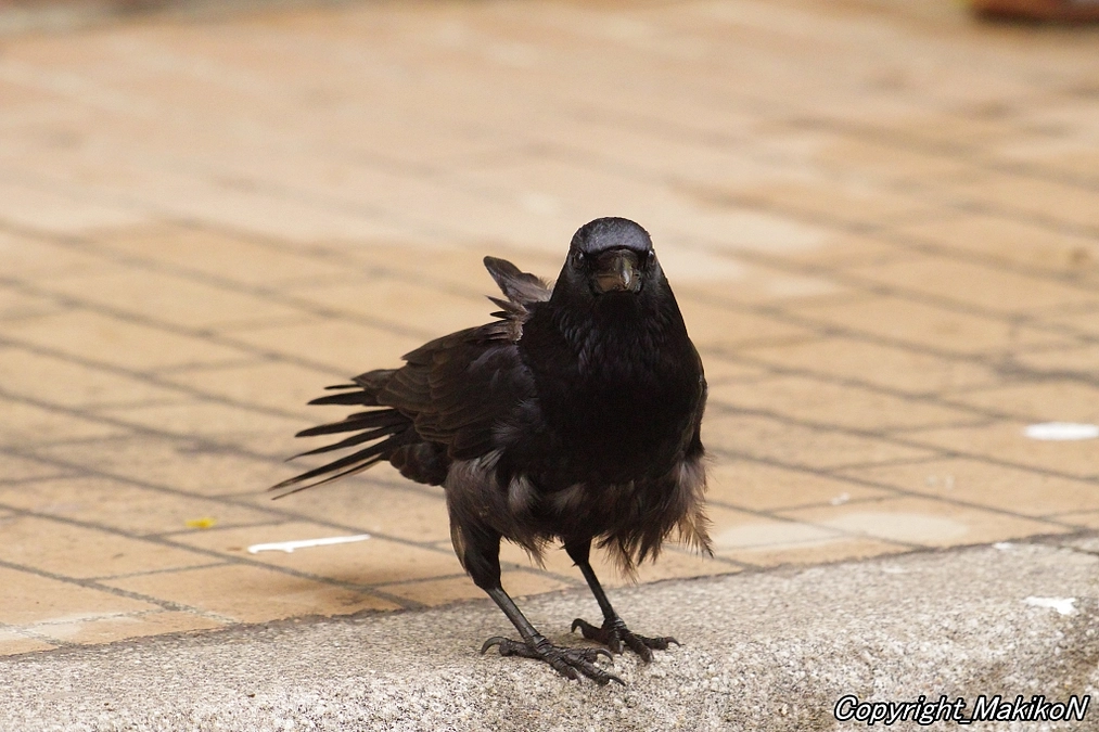 終了報告書をアップしました