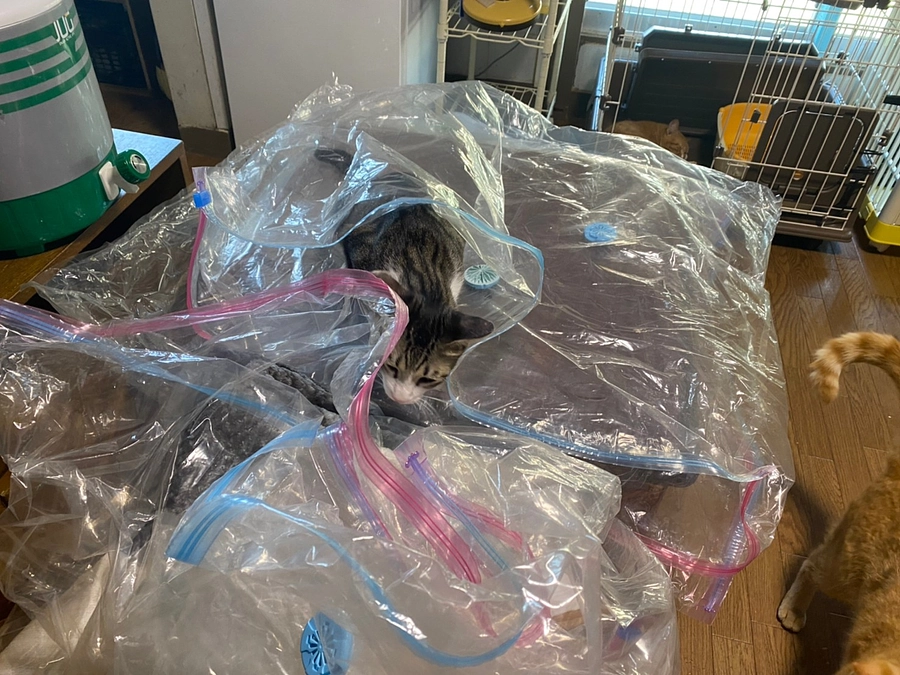 一難去ってまた一難　現実は厳しいです