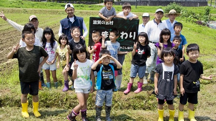 田んぼに咲かせる、ひまわり畑！全250世帯しかない地域の挑戦！