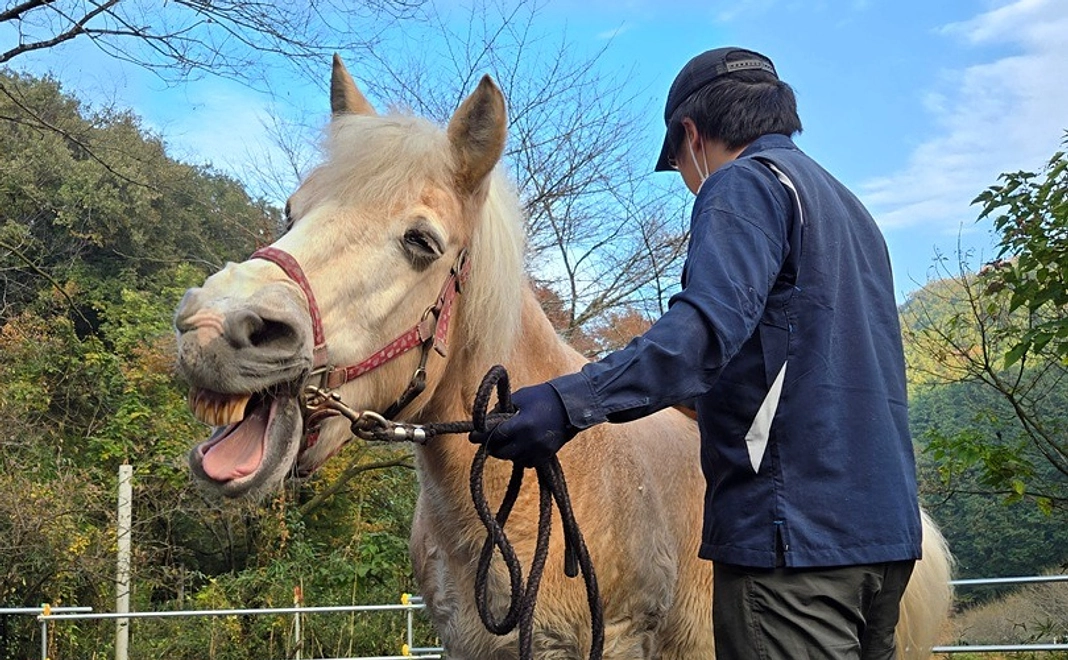 紡ぎっ子サポーター|1000円