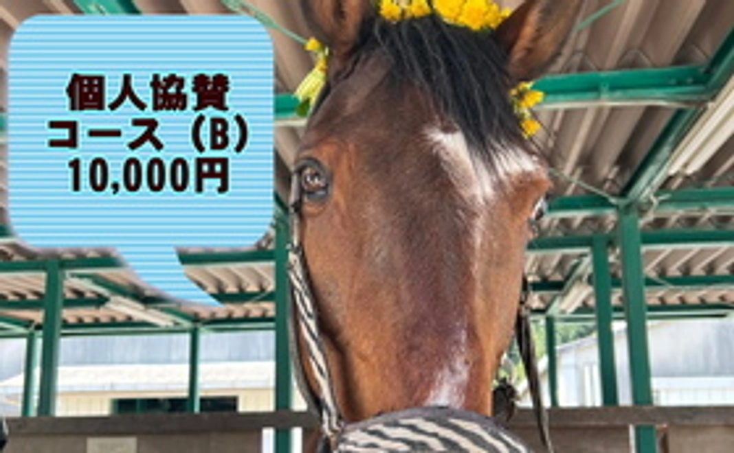 個人協賛コース(B)
