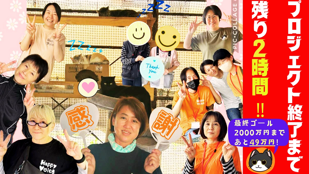 【あと2時間！！】残り49万円で夢の最終目標達成です！！ラストスパートのため、シェアをお願いします！