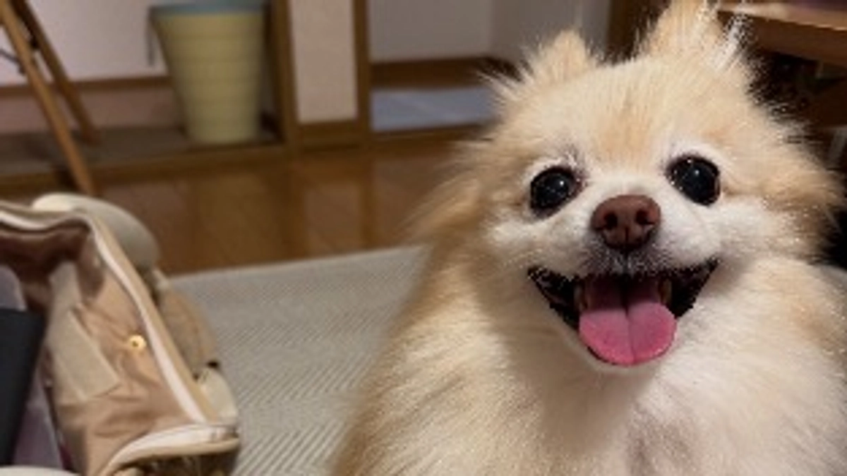 明日はいよいよ手術です