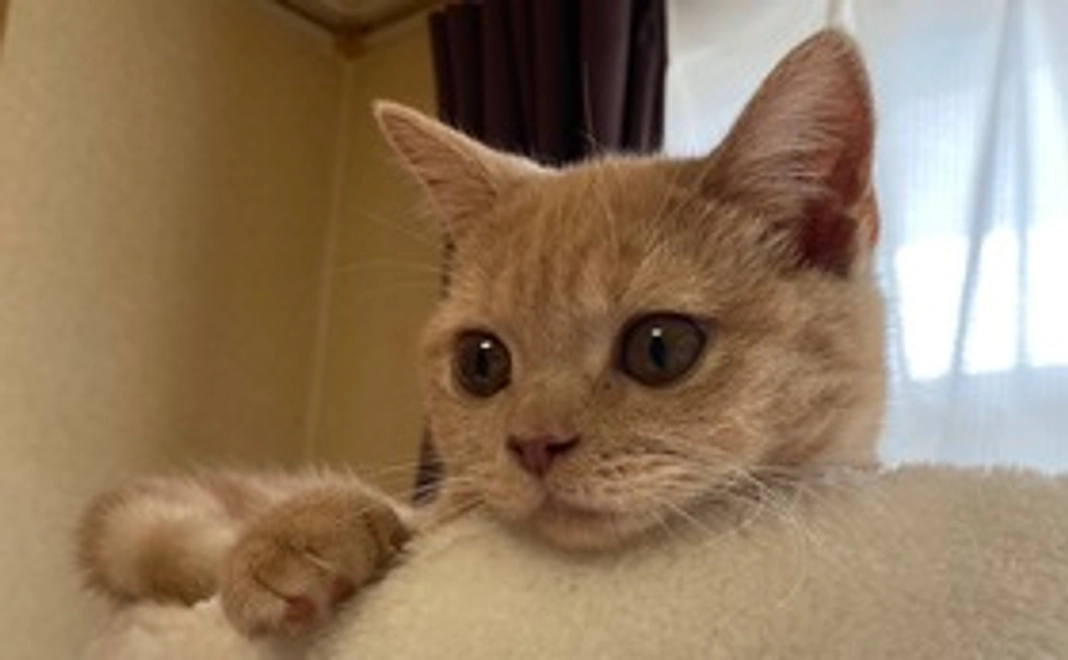 乃々のお気持ち♡ No.1