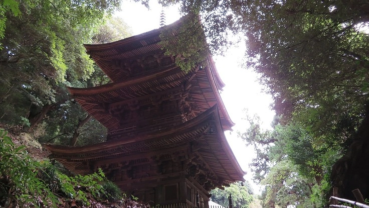 国指定重要文化財　三重塔屋根応急修理ご協力のお願い