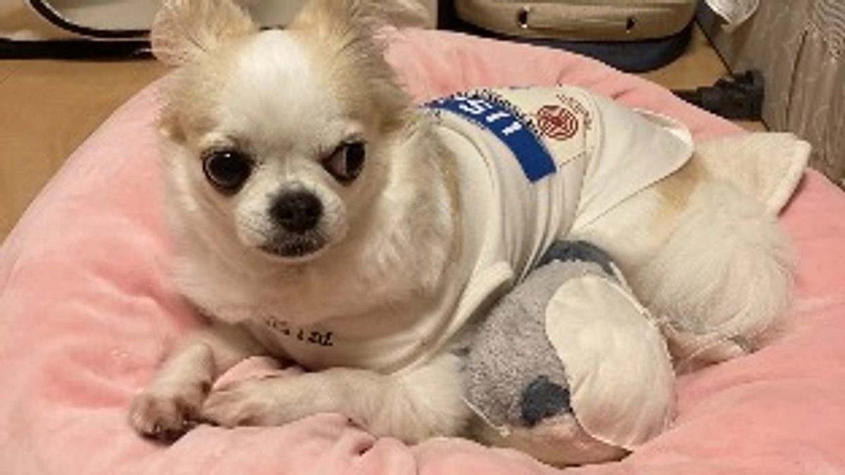 明日23時インスタライブします！