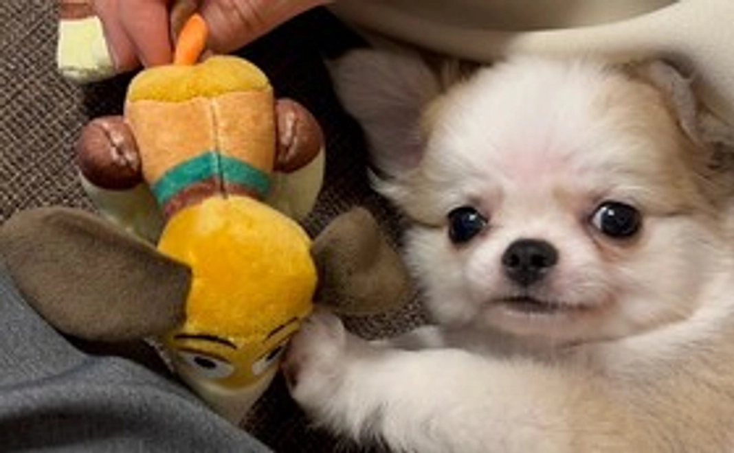 マロン元気になってね！②