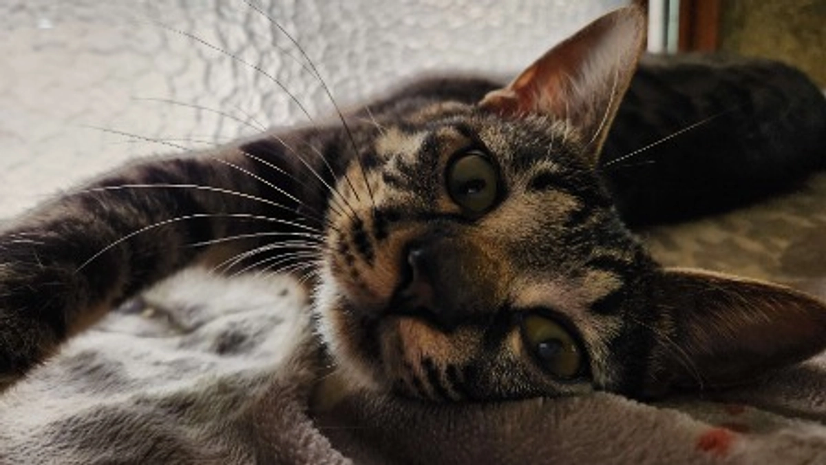 楓日記(9月24日)