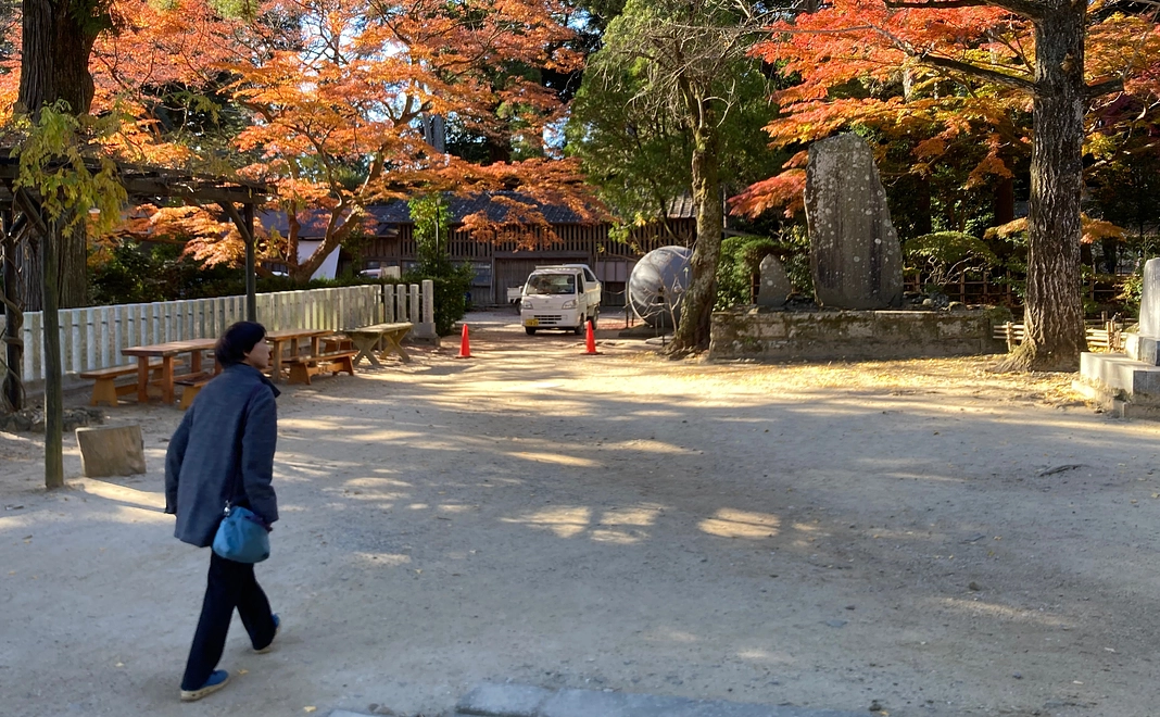 7、2000円コース:黙って応援します。