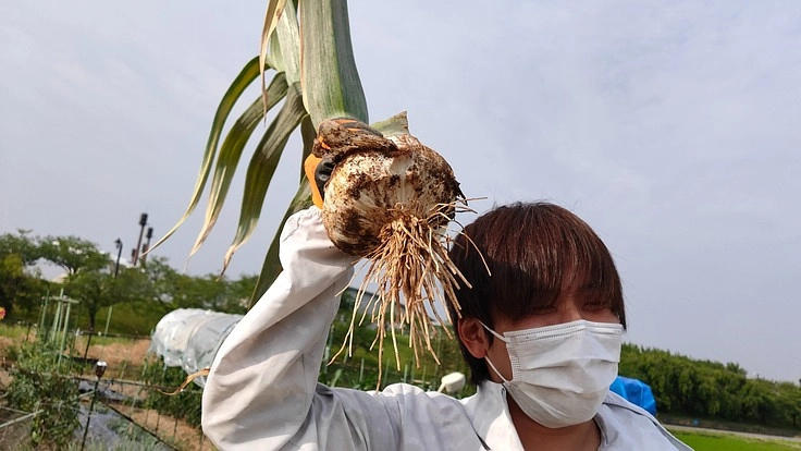 にんにくパワーで活力を！兼業農家の黒にんにくを疲れた人に届けたい！