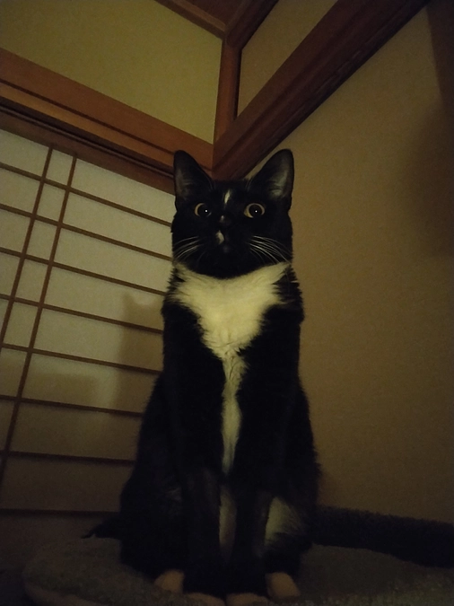 1/14はなちゃんの様子