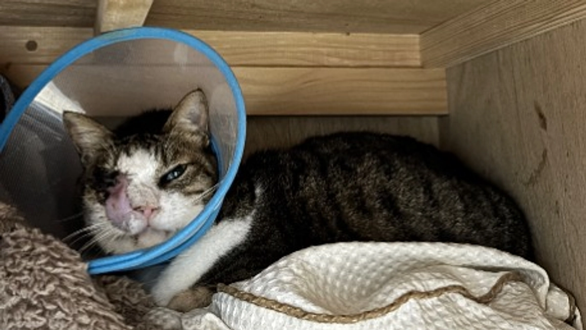 達成しました！ありがとうございます。