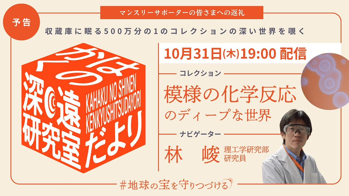 【予告】10/31配信_かはくの深遠研究室だよりfile4｜林 峻先生が語る、模様の化学反応の深い話
