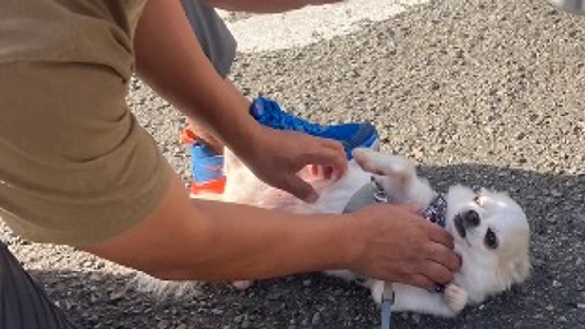 今日は検査の日🏥