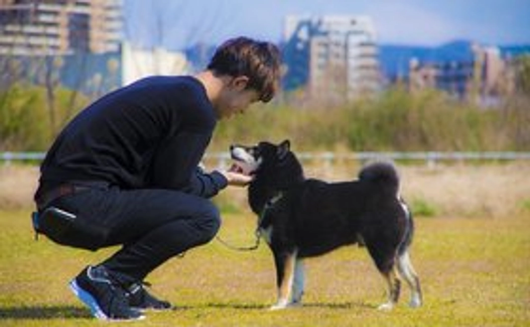 【HPにお名前掲載＋ポストカード付き】あなたのご支援で殺処分ゼロを目指します！