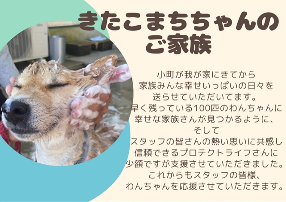 きたこまちちゃんのご家族からの応援メッセージ