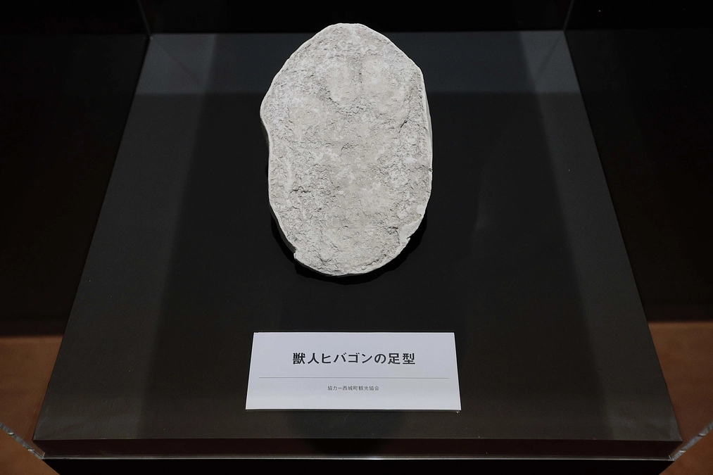 リターンを追加しました！是非ご覧ください！