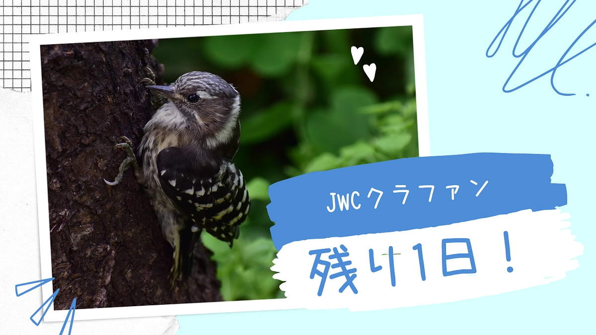 【カウントダウン残り1日】500名を超えるご支援者様に心からの感謝を