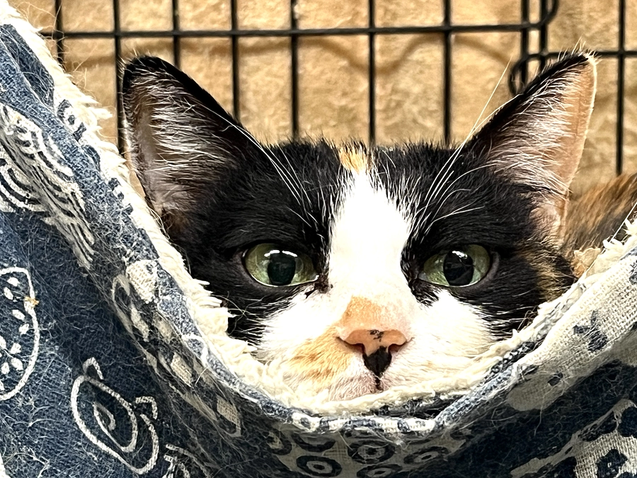 活動報告　2024.5月