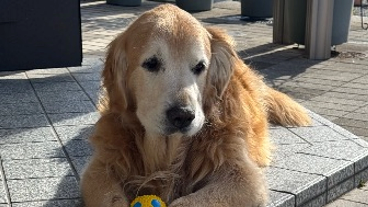 僕の名前はゲーリー•ベス