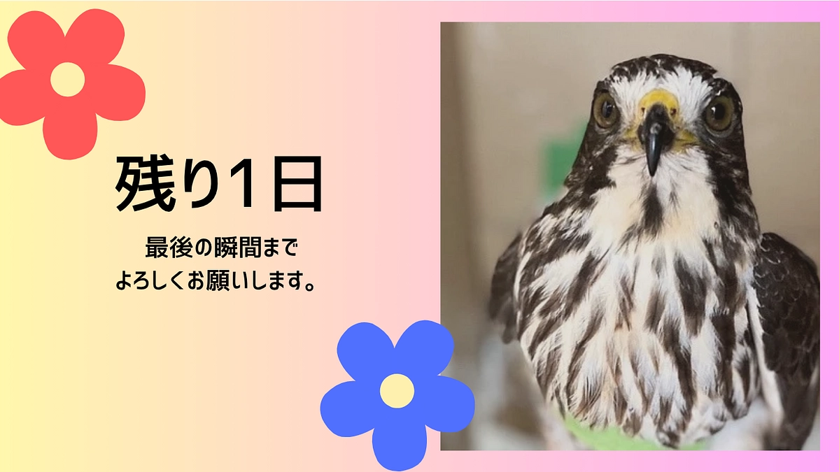 【残り30時間・最後のご支援をお願いします】