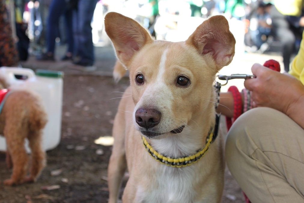 【大切なお知らせ】代表から皆様へ。感謝の動画メッセージです