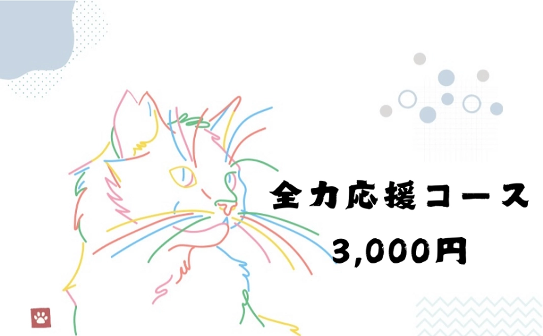 全力応援コース|3,000円