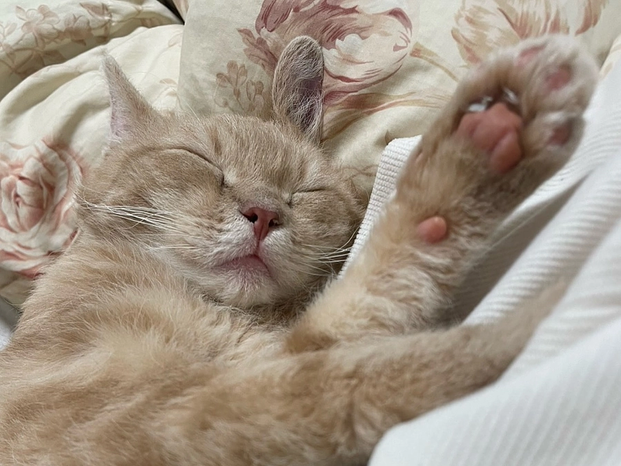 11名の方から応援を頂き感謝の言葉も見つからない思いです