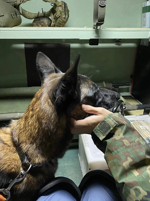 「令和6年能登半島地震」HDS K9 活動報告 ③