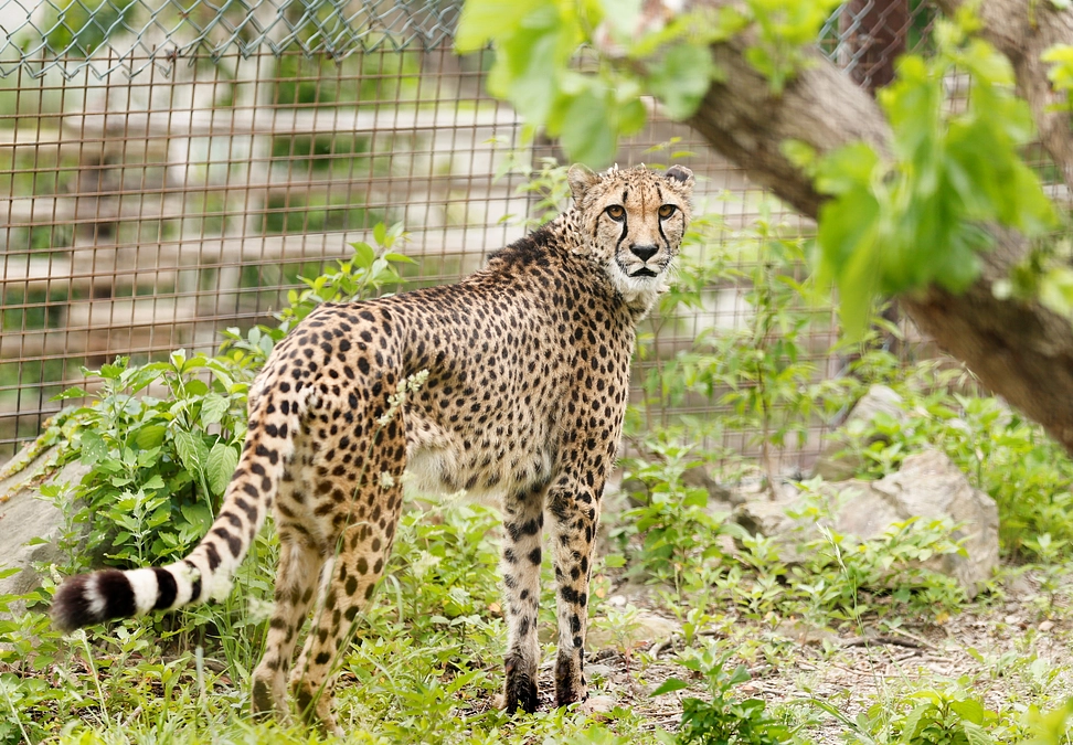 5月28日(火) 返礼品発送状況のご連絡