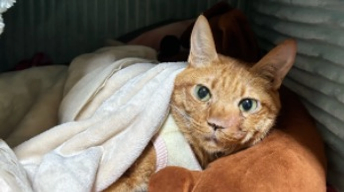 10/30 月命日を迎えました