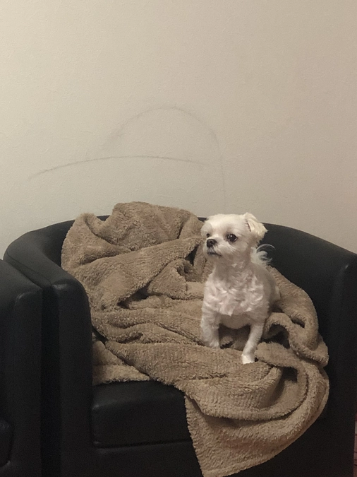 8/4のパフ太(*^_^*)