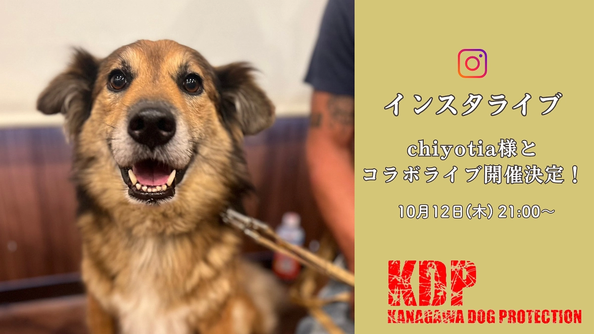 【緊急インスタライブ開催！】IG LIVE in Vahana's bar♪