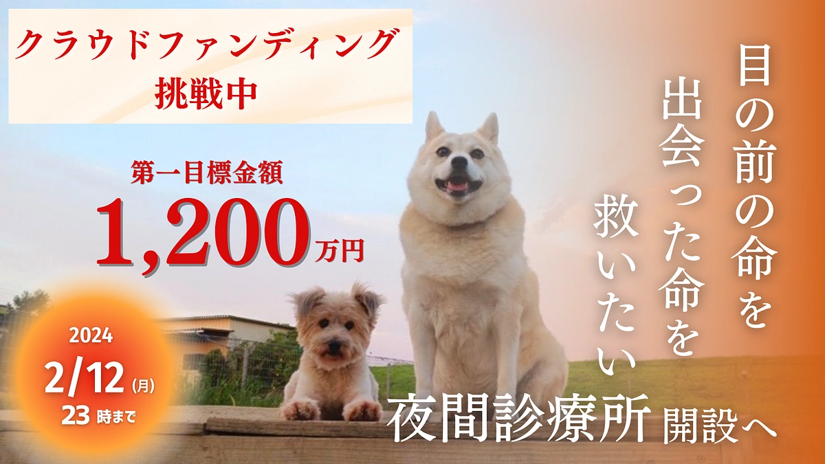 2/12（月）まで｜第二弾のクラウドファンディングに挑戦させていただいております！