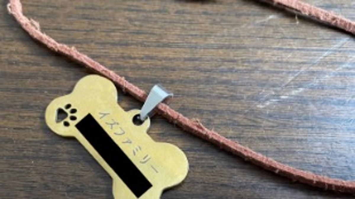 ！きな子ちゃん卒業！