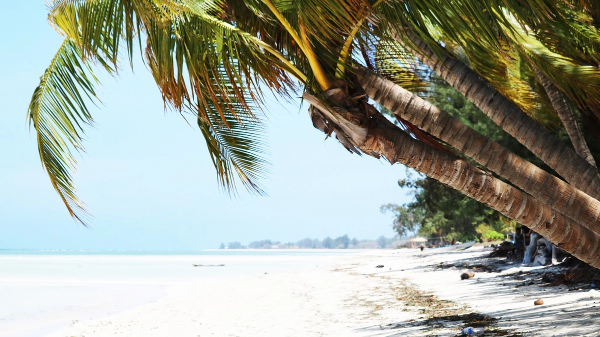 【ご報告】目標金額50％に到達🎉