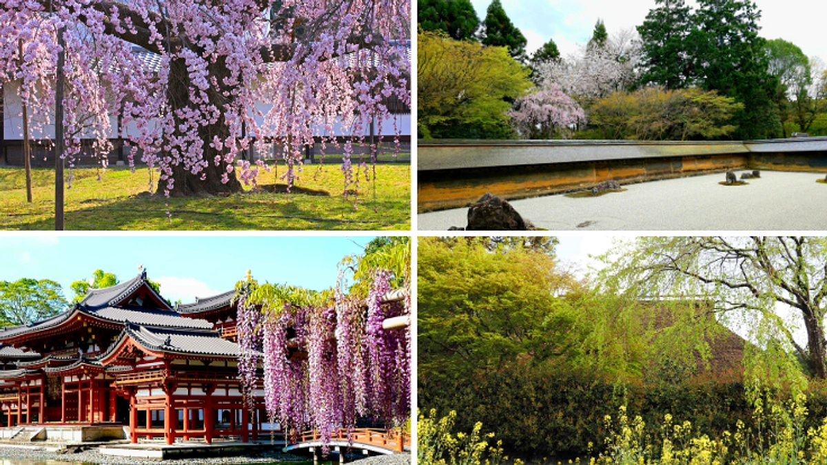 【終了まで残り5日】写真集に込めた想い